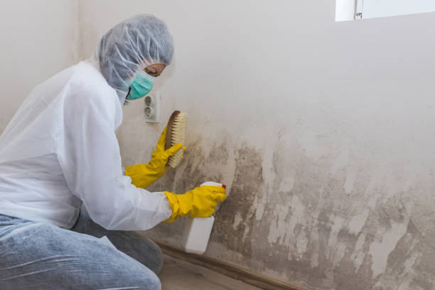 Best Mold Testing  in Mcgehee, AR