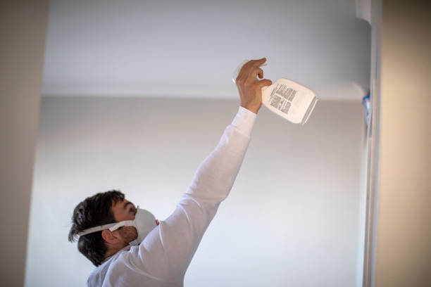 Best Toxic Mold Removal  in Mcgehee, AR