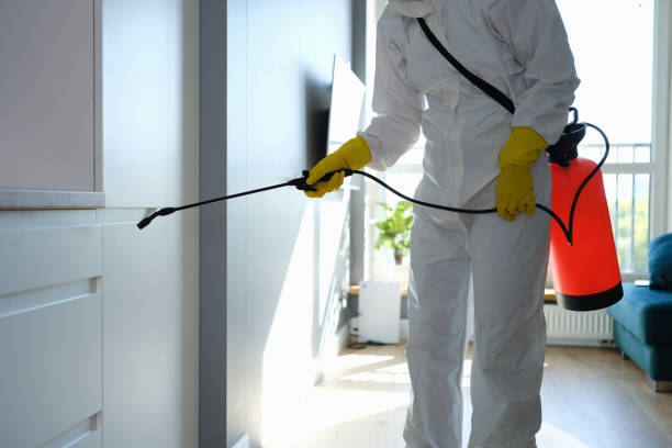 Home Mold Removal in Mcgehee, AR