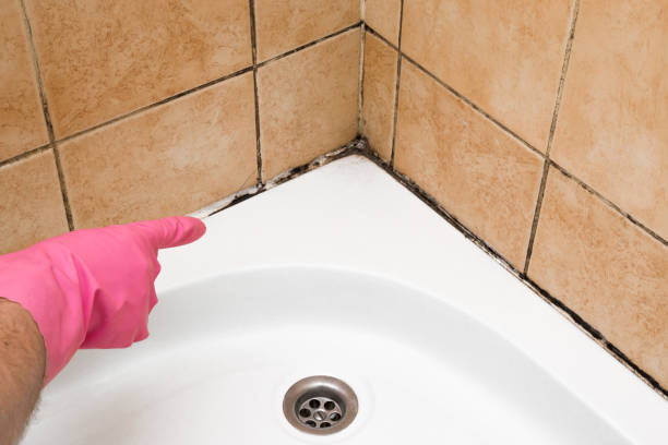 Best Emergency Mold Removal  in Mcgehee, AR